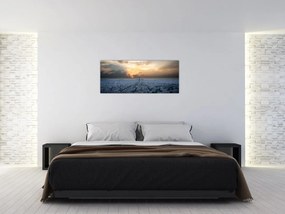 Tabloul - Paris din înâlțime (120x50 cm)