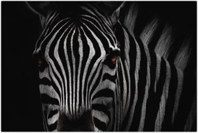 Tablou cu zebră (90x60 cm)
