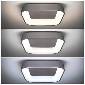 Solight WO769-G - Plafonieră LED reglabilă TREVISO LED/48W/230V cu DO