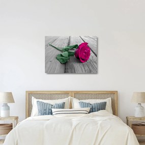 Tablou pe sticlă - Trandafir roz cu tulpina verde (70x50 cm)