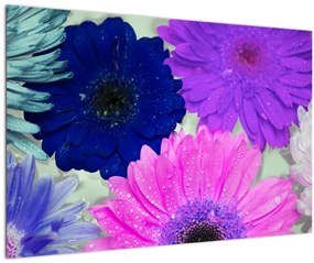 Tablou cu flori colorate (90x60 cm)
