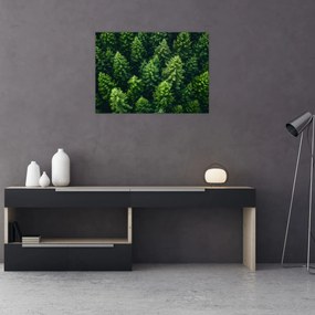 Tablou pe sticlă - Pădure (70x50 cm)