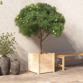 Jardiniera de gradina, 50x50x50 cm, lemn masiv de pin 1, Maro