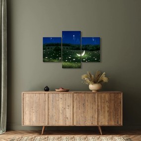Tablou - Cer căzător (90x60 cm)