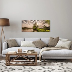 Tablou naturii cu raze de soae (120x50 cm)