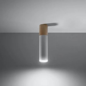 Plafonieră PABLO 1xGU10/40W/230V alb