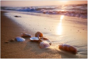 Tablou - Scoici (90x60 cm)