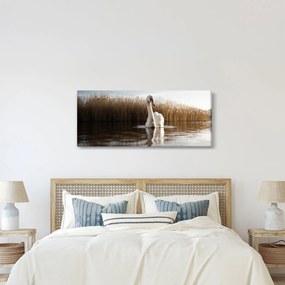 Tablou cu lebăda (120x50 cm)