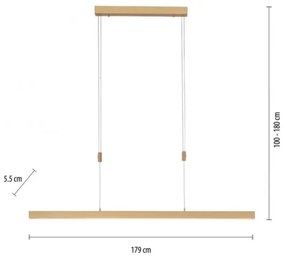 Lustră LED dimabilă pe cablu Paul Neuhaus 2568-60 ADRIANA LED/14W/230V alămie