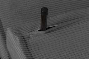 Fotoliu Pat SMART MULTIFUNCTION 100cm catifea raiata gri