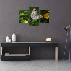 Tablou - fluture alb (90x60 cm)