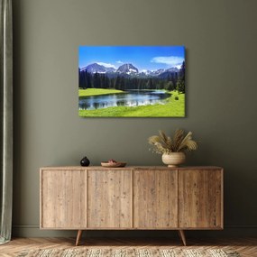 Tablou - vâfurile montane înzăpezite (90x60 cm)
