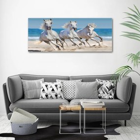 Tablou pe pânză White beach horse