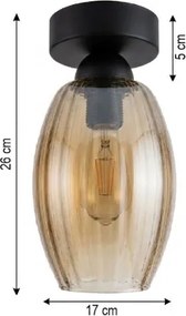 BRILAGI - Plafonieră LED R GLASS 1xE27/60W/230V Ø 17 cm negru/bej fumuriu