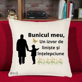 Cadou pentru Bunic - Perna Personalizata Bunicul Meu Izvor de Liniste cu Fluture si Baietel, 40x40 cm, Crem Reliefat, Husa Detasabila, Perna Inclusa, BEKZ®