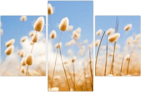 Tablou - Câmp de aur (90x60 cm)