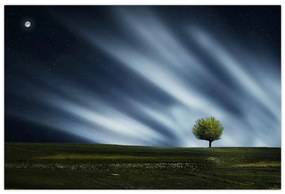 Tablou -Aurora boreală (90x60 cm)