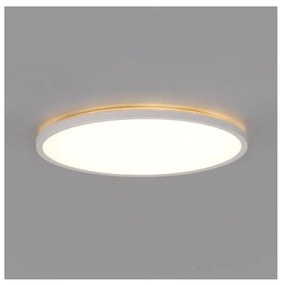 Plafonieră LED cu senzor pentru baie NIVERA LED/18W/230V IP54 d. 30 cm alb + telecomandă
