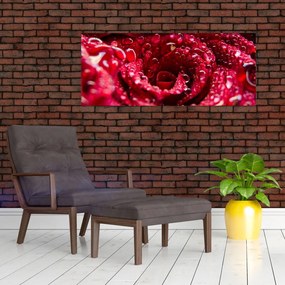 Tablou cu floarea trandafirului roșu (120x50 cm)