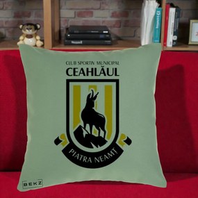 Perna Personalizata CSM Ceahlaul Piatra Neamt Fotbal, 40x40 cm, Verde, Husa Detasabila, Perna Inclusa, BEKZ®