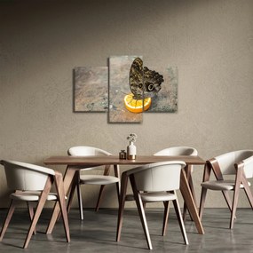 Tablou cu fluturi (90x60 cm)