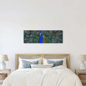 Tablou - Păun (cu ceas) (90x30 cm)