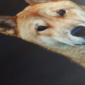 Tablou cu câine (cu ceas) (90x30 cm)