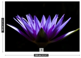 Fototapet Purple Lotus