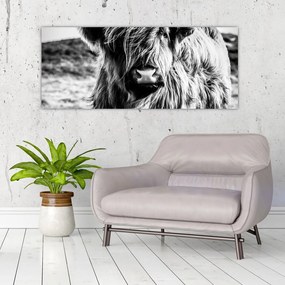 Tablou - Highland - vacă scoțiană (120x50 cm)