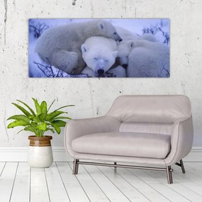 Tablou - Urși polari (120x50 cm)