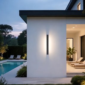 Brilagi - Aplică LED de exterior AQUA LINE LED/12W/230V 45 cm IP44 antracit CRI 90