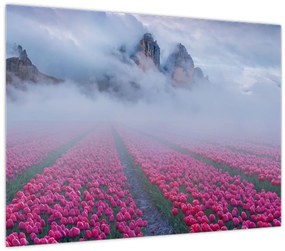 Tablou - Peisaj cu câmpuri de lalele (70x50 cm)