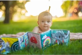 Carte textilă pentru copii 3 în 1 koala Taf Toys