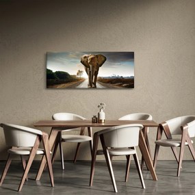 Tablou cu elefant (120x50 cm)
