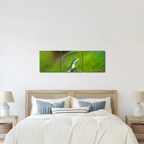 Tablou cu șopârlă (cu ceas) (90x30 cm)