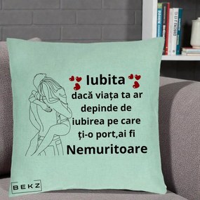 Cadou pentru Iubita - Perna Personalizata Iubita Nemuritoare cu Cuplu Line-Art si Inimi Rosii, 40x40 cm, Verde Menta, Husa Detasabila, Perna Inclusa, BEKZ®