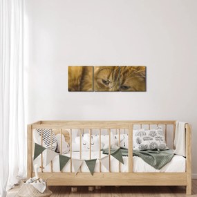 Tablou cu pisica (cu ceas) (90x30 cm)