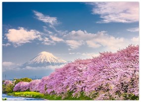 Tablou pe sticlă - Peisaj de primăvară japonez (70x50 cm)
