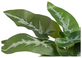 Plantă artificială (înălțime 21 cm) Syngonium – Ixia