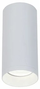 Spot aplicat de tavan/plafon Alfa MYC010CL-01W