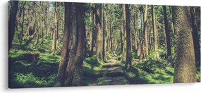 Tablou cu drum între copaci (120x50 cm)