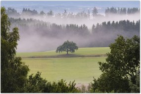 Tablou - Lunca cu copac (90x60 cm)
