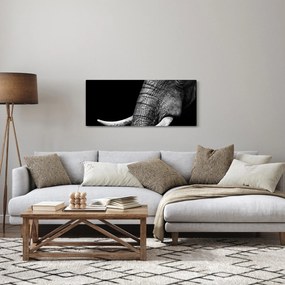 Tablou - Colți de elefant (120x50 cm)