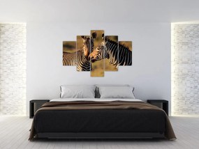 Tablou - Două zebre (150x105 cm)