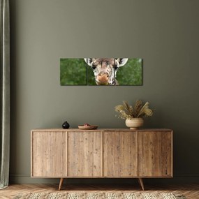 Tablou cu girafa (cu ceas) (90x30 cm)