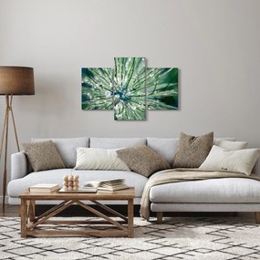 Tablou - Imagine macro a unei flori (90x60 cm)