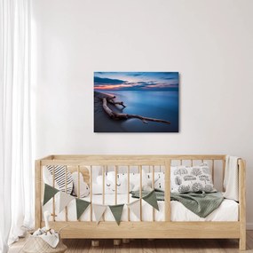 Tablou cu plaja în apus de soare (70x50 cm)