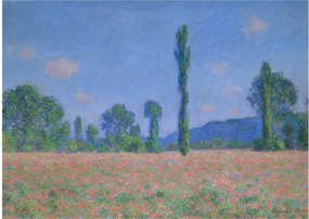 Tablou pe sticlă - Claude Monet, Poppy Field (Giverny), reproducere (70x50 cm)