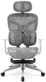 AEROMAX PRO 620LK-SY Scaun ergonomic, cotiere 6D, Tetiera 3D, Suport lombar dublu ajustabil, Suport picioare, Umeras, Full Mesh, Gri