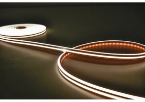 Rabalux 79021 - Bandă LED RGBW dimabilă STRIP LED/21W/230V 5 m IP67 + DO